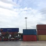 Logistica Olivos Milenarios