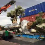 Logistica Olivos Milenarios