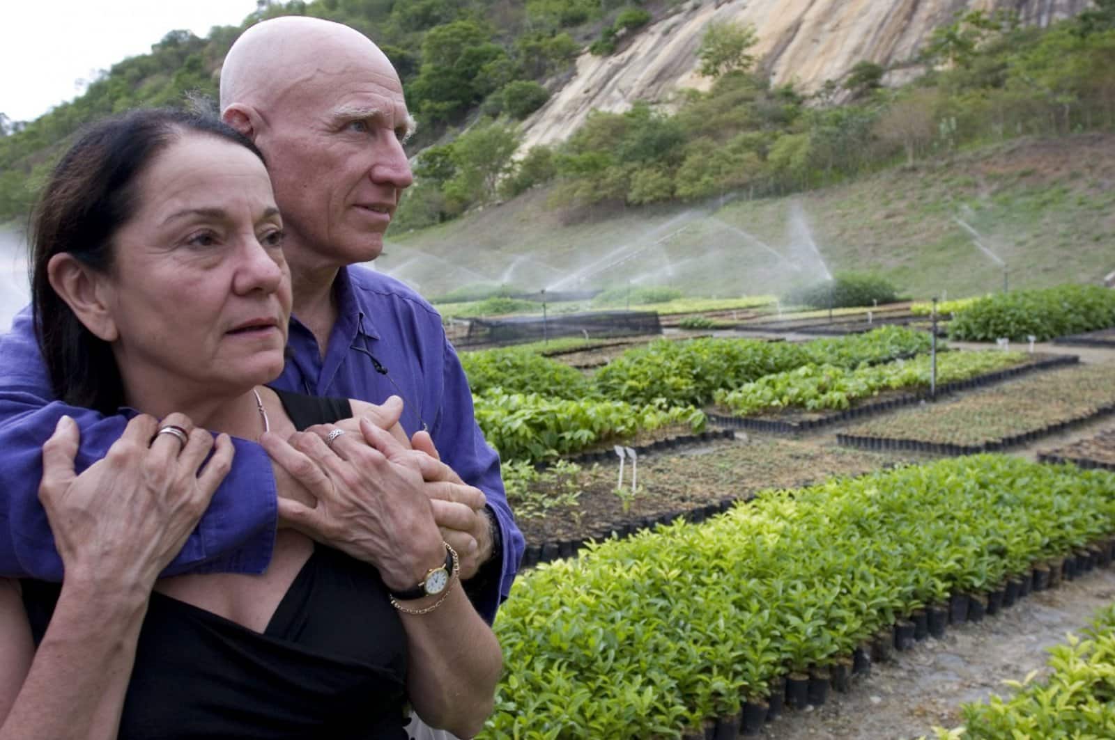 Pareja brasilerira reforesta bosque