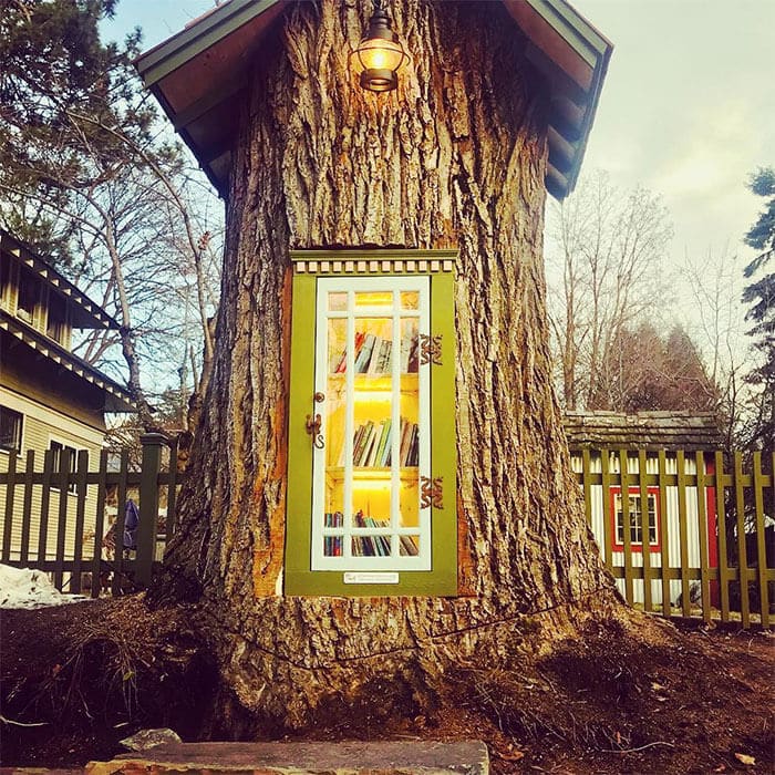 Arbol Convertido en Biblioteca Ginart Oleas 2