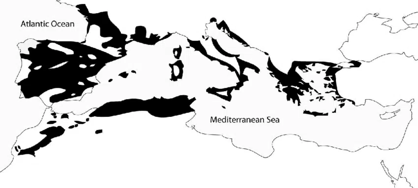 Mapa de la distribución MEditerrean de los Quercus o Robles Ginart Oleas