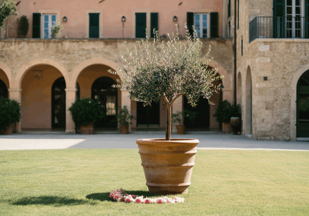 Olivo en maceta de Ginartoleas colocado en un jardín clásico con arquitectura histórica, ejemplo de integración ornamental en espacios exteriores amplios